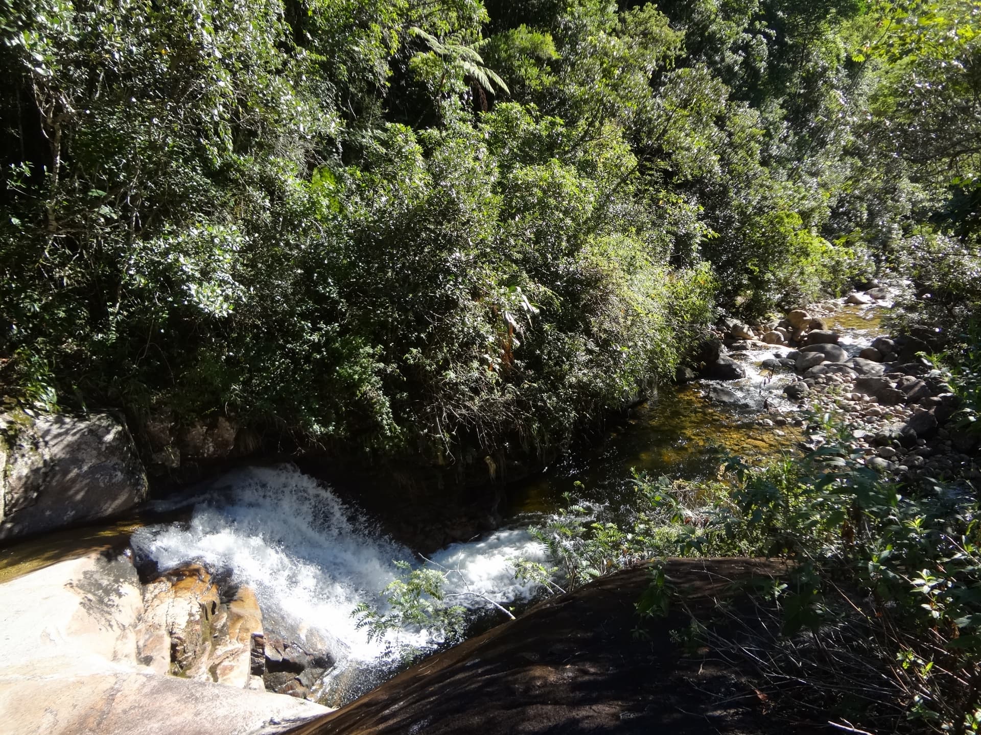 Rio na Mantiqueira — Flávio Ojidos